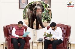 जैन मठ लौटेगी माधुरी हथिनी! वनतारा कोल्हापुर में पुनर्वास केंद्र बनाने के लिए
तैयार, CM फडणवीस ने दी खुशखबरी - image
