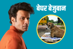 आवारा कुत्तों के फैसले पर मनोज बाजपेयी ने तोड़ी चुप्पी, कहा- उनके भाग्य का फैसला… - image