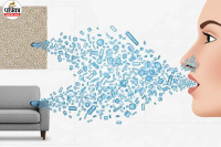 Microplastics in Human Body