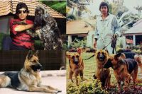Mithun Chakraborty has transferred 45 crore property to 116 dogs