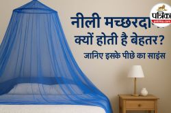 Mosquito Net BlueColor: जानिए क्यों नीले रंग की मच्छरदानी होती है सही, इसके पीछे
का साइंस समझिए - image