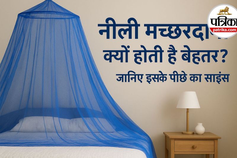 Mosquito Net