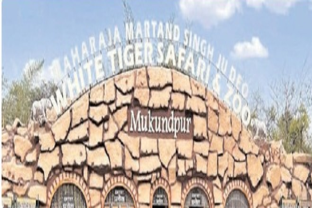 Mukundpur White Tiger Safari