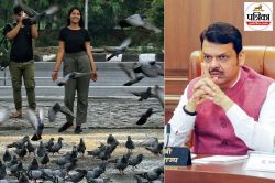मुंबई में फिर खुलेंगे कबूतरखाने! CM फडणवीस बोले- कबूतरखानों को अचानक बंद करना
ठीक नहीं, दिए ये निर्देश - image