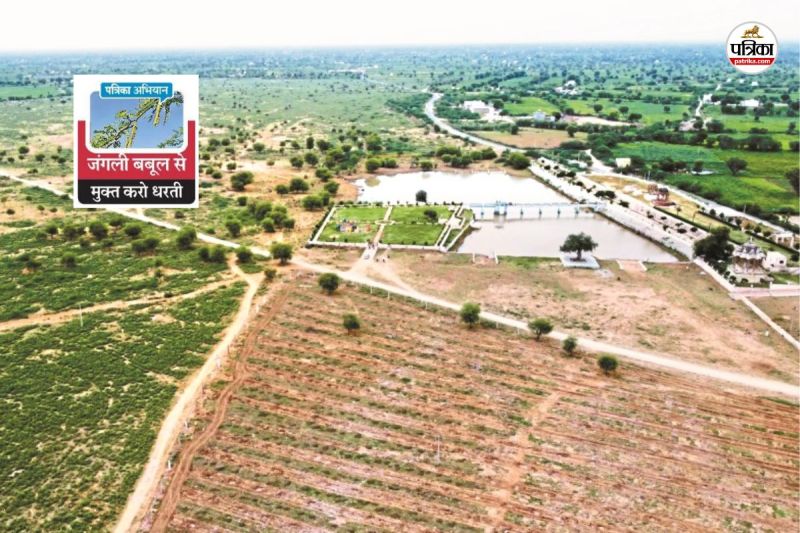 Nagaur Run Gram Panchayat Innovation Julie Flora removed from 1500 bighas water inflow increased in pond