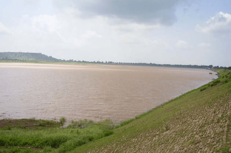 cattle dead bodies thrown in Lokpal Sagar pond panna drinking water source mp news