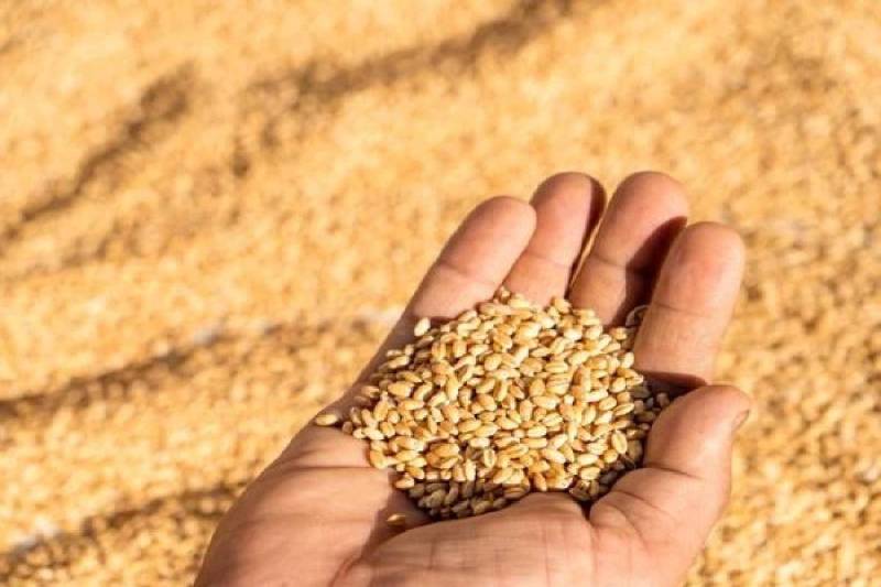 फोटो सोर्स: पत्रिका