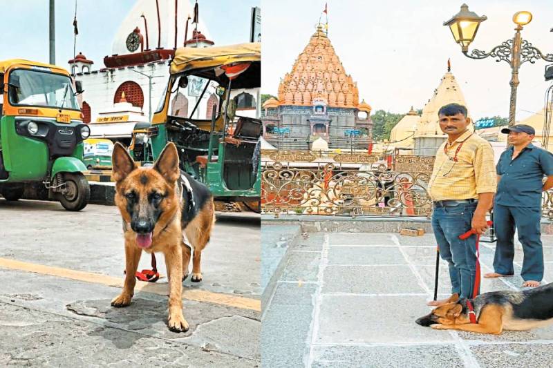 फोटो सोर्स: पत्रिका