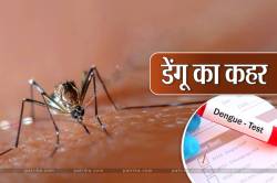 नहीं जा रही ‘वायरल बुखार’ की कमजोरी, ये 3 लक्षण दिखें तो हो जाएं अलर्ट… - image