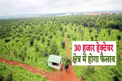 3 बड़े शहरों के मिलाकर बनेगा ‘वन्यजीव संरक्षण केंद्र’, शामिल होंगे 1 दर्जन गांव - image