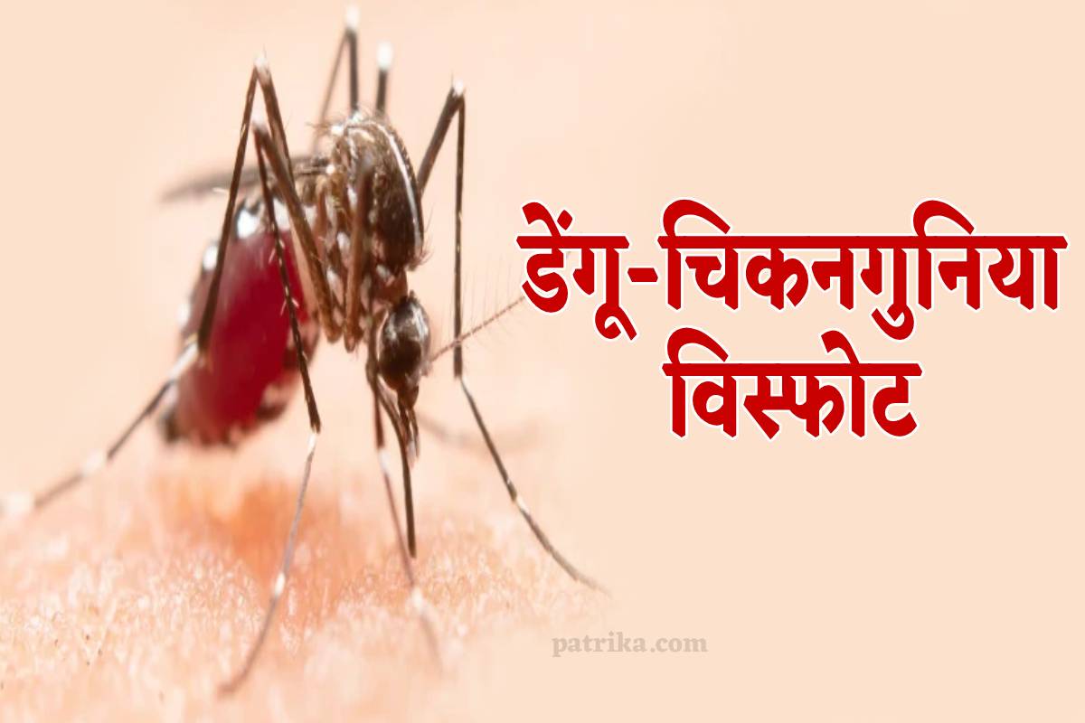 फोटो सोर्स: पत्रिका