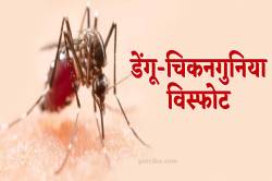 हो जाएं अलर्ट ! सामने आए 112 डेंगू-चिकनगुनिया के मरीज, 40 हॉट-स्पॉट चिन्हित - image