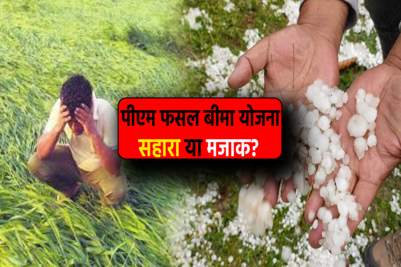 PM Fasal Bima Yojana