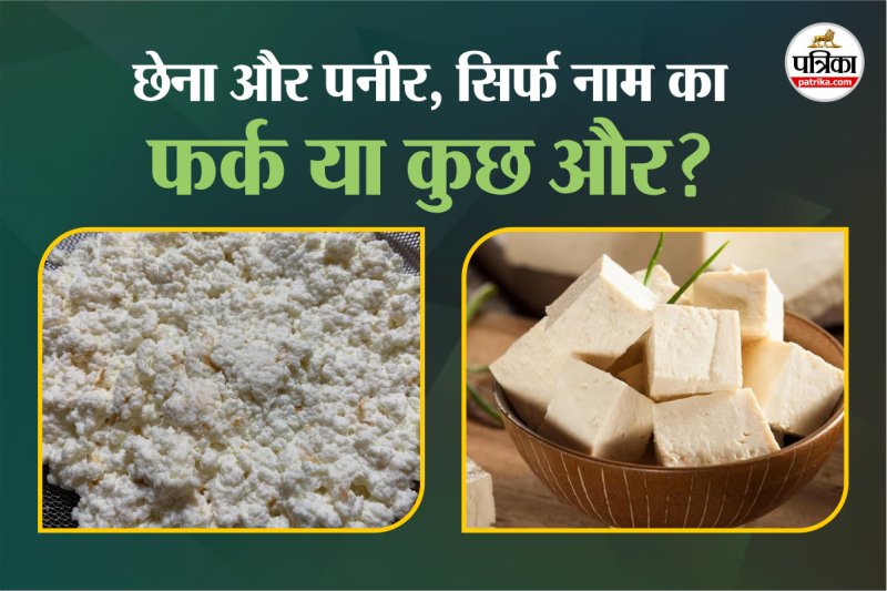 Chhena Vs Paneer ,Chhena or Paneer me antar kya hai,