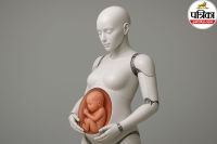 Pregnancy Robot