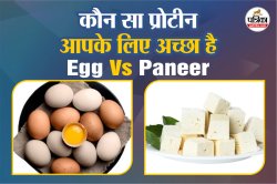 Egg Vs Paneer प्रोटीन के मामले में कौन है ज्यादा फायदेमंद - image