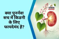 Punarnava Benefits Kidney