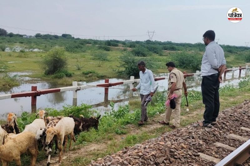 Railway Track If cattle come owner trouble six months imprisonment and heavy fine will be imposed