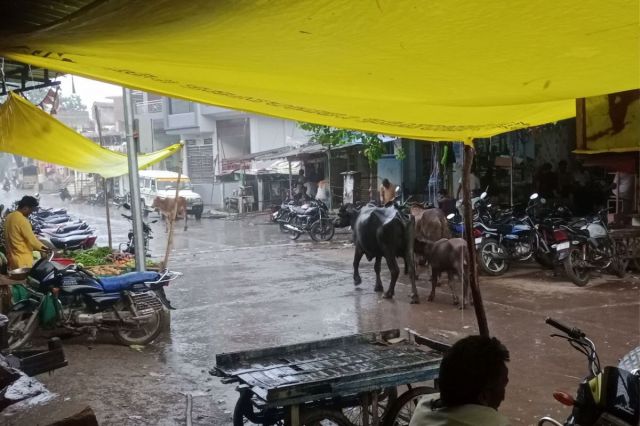 Rain