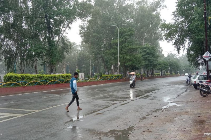 Rain in Surguja