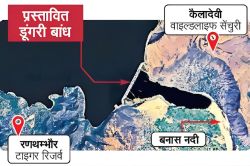 PKC-ERCP: पहले वन्य जीवों, अभयारण्य, वन क्षेत्र पर प्रभाव की स्टडी फिर बांध
बनाने की मिलेगी NOC - image
