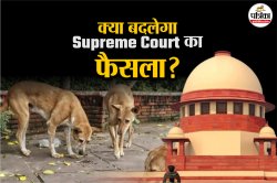 सुप्रीम कोर्ट का बदलेगा फैसला! स्ट्रीट डॉग्स के मामले में SC की नई बेंच आज करेगी
सुनवाई - image
