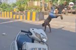 Saharanpur Viral video