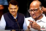 Devendra Fadanvis on Sharad Pawar