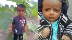 राजस्थान: सोते समय 2 मासूम भाइयों को सांप ने डसा, दोनों की मौत, गांव में छाया
मातम - image