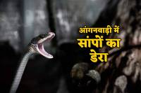 Snakes in anganbadi mahdya pradesh people in Fear loked