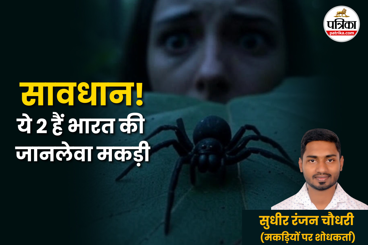 Spider Bite Deaths : मकड़ी के काटने से बच्ची की मौत! विशेषज्ञ से जानिए मकड़ी का
काटना जानलेवा है या नहीं?