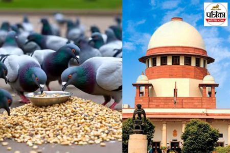 Supreme court on Kabutarkhana ban