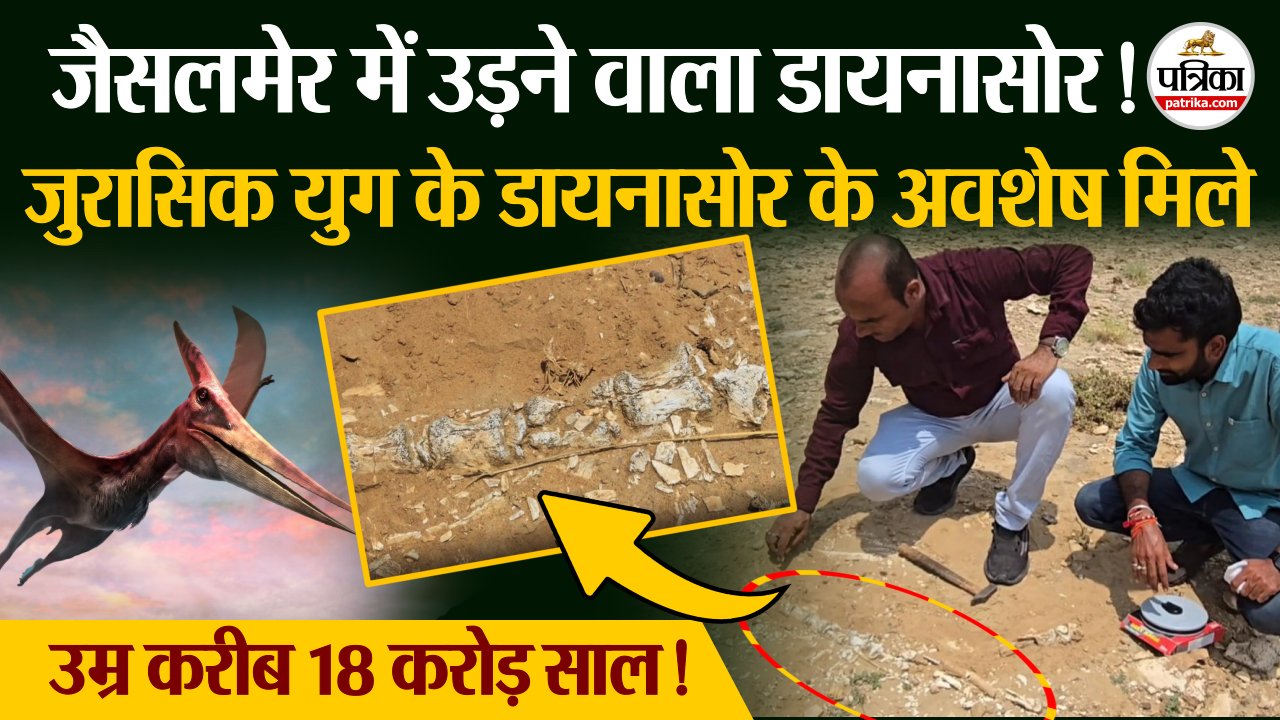 Dinosaur Discovery राजस्थान के जैसलमेर में मिला उड़ने वाले डायनासोर का जीवाश्म !