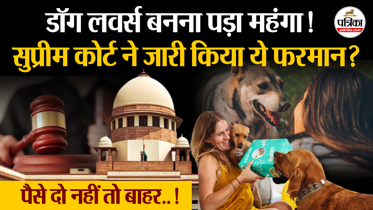 डॉग लवर्स और एनजीओ को झटका, सुप्रीम कोर्ट जारी किया ये फरमान