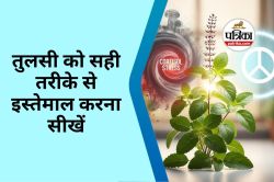 Tulsi Naturally Reduces Cortisol : तनाव को 36% तक घटा सकती है तुलसी, जानें कैसे
और कब करें इसका सही इस्तेमाल - image