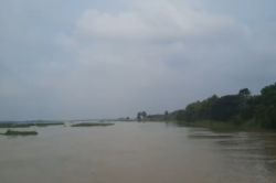 उत्तराखंड में दर्दनाक हादसा: तीन अलग-अलग घटनाओं में दंपति समेत 5 लोग डूबे, 3 शव
बरामद - image
