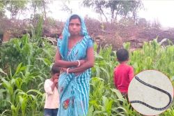 सुबह 5 बजे घर में सो रहे मां-बेटों को ‘काले सांप’ ने काटा, तीनों की मौत - image