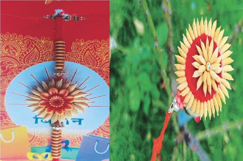 राखियों में दिखा गांव का रंग! बालोद में धान (photo-patrika)