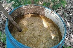 जीवामृत घोल बनाकर प्राकृतिक खेती के लिए किसानों को कर रहे जागरूक - image