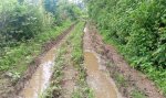 The path to the station is difficult, even walking is difficult