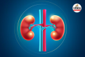 Five Everyday Foods That Could Be Damaging Your Kidneys