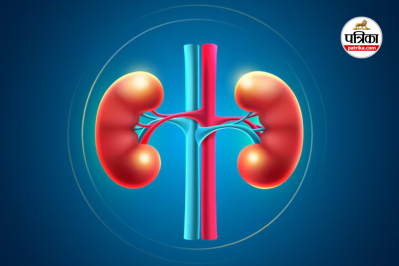 Daily Foods That Damage Kidney