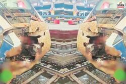 Vande Bharat Accident: वंदे भारत एक्सप्रेस से टकराए 2 ऊंट, ट्रेन का अगला हिस्सा
बुरी तरह क्षतिग्रस्त - image