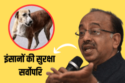 इंसानों की सुरक्षा सर्वोपरि, शेल्टर होम ही विकल्प - image