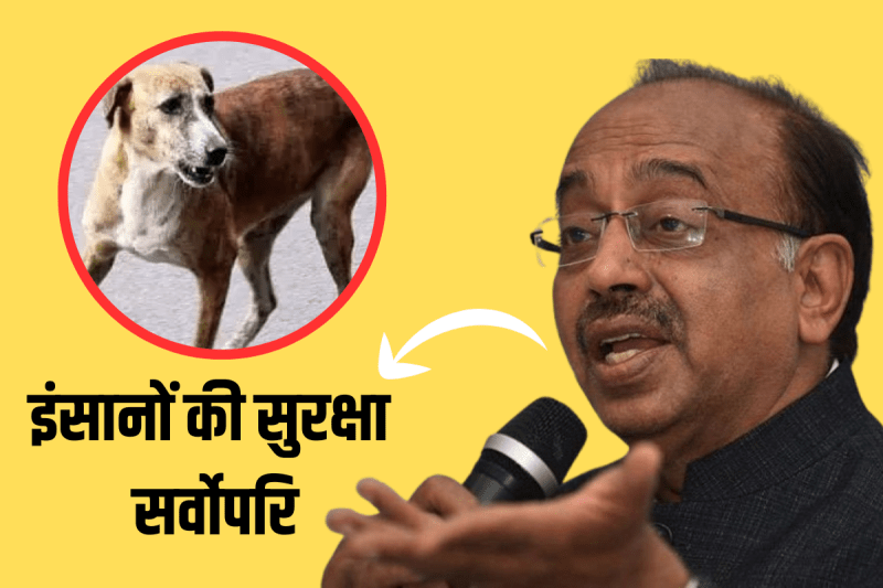 Vijay Goel Stray Dog Case Update