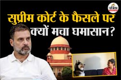 बेचारे कुत्तों की क्या गलती है…सुप्रीम कोर्ट के फैसले पर नेता से अभिनेता तक दे
रहे बयान, विशेषज्ञ भी हैरान - image