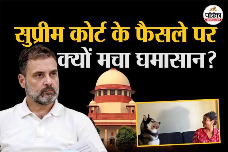 stray dogs in Delhi NCR Supreme Court decision Rahul Gandhi Raveena Tandon statements experts surprised