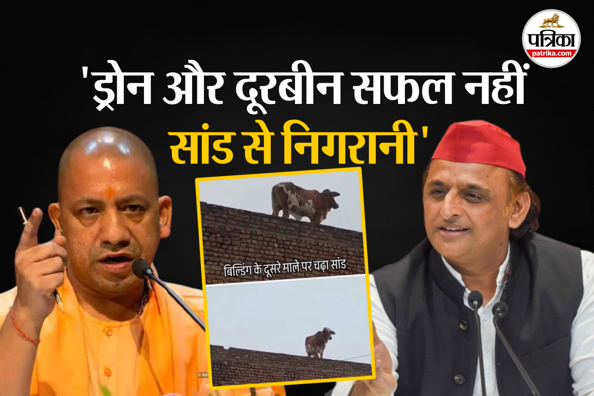 UP Politics