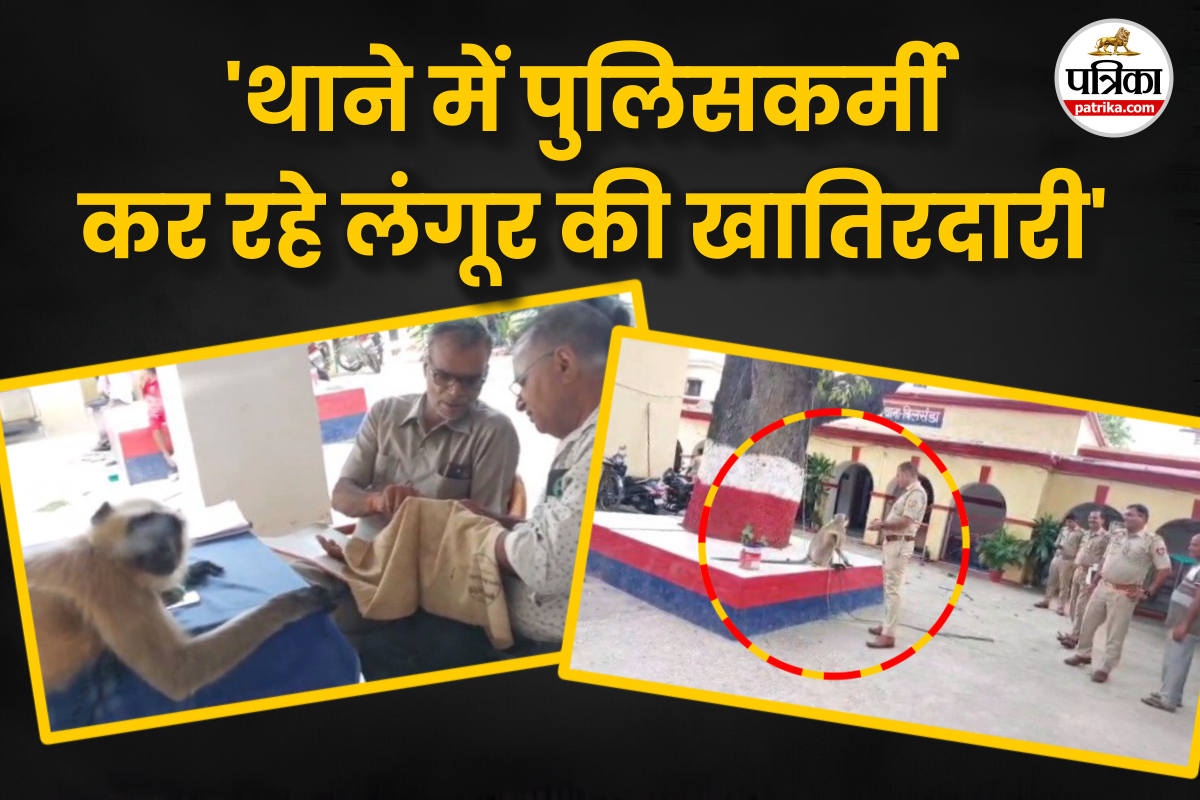 पुलिसवालों का ‘रक्षक’ बना लंगूर; सेवा में तैनात हैं दारोगा जी; वीडियो में देखें
UP का हैरान करने वाला मामला