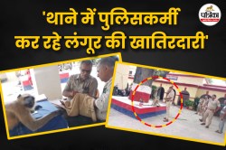 पुलिसवालों का ‘रक्षक’ बना लंगूर; सेवा में तैनात हैं दारोगा जी; वीडियो में देखें
UP का हैरान करने वाला मामला - image